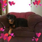 Donna Halstead - Facebook