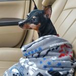 Donna Halstead - @drh6305 - Instagram