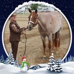 Donna Halstead - @halstead2187 - Instagram
