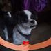 Donna Halverson - Facebook