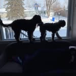 Donna Hamann - @canadian5 - Instagram