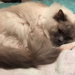 Donna Hamann - @donna_mh14 - Instagram