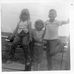 Donna Hambleton - Facebook