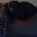 Donna Hambleton - Facebook