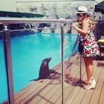 Donna Hambleton-tucker - @hambletontucker - Instagram