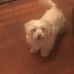 Donna Hamblin - Facebook