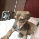 Donna Hamblin - @donna.hamblin.718 - Instagram