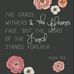 Donna Hamblin - Facebook