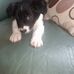 Donna Hamer - Facebook