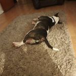 donna hamer - @hamer.donna - Instagram