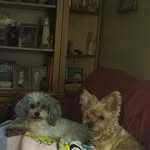 Donna Pierce Hamlin - @donna.p.hamlin - Instagram