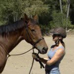 Donna Hillen Hammer - @gallopingdonna - Instagram