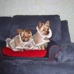 Donna Hanley - @designingkeepsakes - Instagram