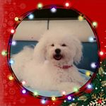 Donna Hanley - @donna.hanley.5095 - Instagram