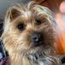 Donna Hanley - Facebook