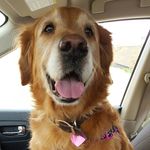 Donna Hann - @dhann715 - Instagram