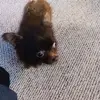 Donna Hanna - @donna.hanna4 - TikTok