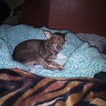 Donna Hannan - @donnahannan99 - Instagram