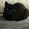 Donna Hannant - @donna.hannant - TikTok