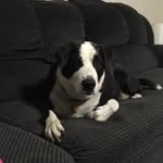 Donna Harder - @donna.yeager.35728 - Instagram