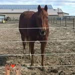 Donna Hardesty - @duckdawg72 - Instagram