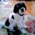 Donna Harkness - @harknessdonna294 - Instagram