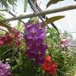 Donna Bright Harmon - @donnaharmon40 - Instagram