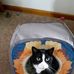 Donna Harmon - Facebook