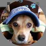 Donna Harmon - @harmon.5501 - Instagram