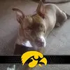 donnaharnisch - @donnaharnisch - TikTok