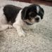 Donna Haskell - Facebook