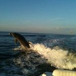 Donna Hathaway - @dlh02355 - Instagram
