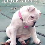 Donna Hatt - @jewelsbydonna - Instagram