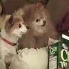 Donna Hawk - @donna.hawk5 - TikTok