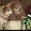 Donna Hawk - @donna.hawk66 - TikTok