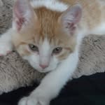 Donna Hawkins - @donna.hawkins.908 - Instagram