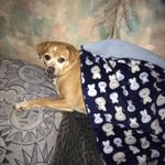 Donna J. Hebert - @donna.hebert48 - Instagram