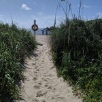Donna Hecht - @donnahecht_ny - Instagram