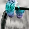 donnaheflinhawkes - @donnaheflinhawkes - TikTok