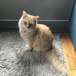 Donna Hegedus - @dmlh99 - Instagram