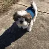 donnahelmsevans - @donnahelmsevans - TikTok