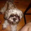 donna.hercules - @donna.hercules - TikTok