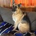 Donna Herold - Facebook