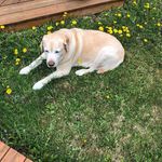 Donna Tough Herold - @donnaleahherold - Instagram