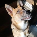Donna Herr - @wild_child_dolphingirl - Instagram