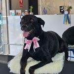 Donna Herrera - @chokodonna - Instagram