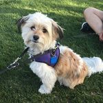 Donna Herrera - @dawna.728 - Instagram