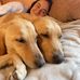 Donna Herrick - Facebook