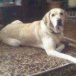 Donna Hershey - @donna.hershey.33 - Instagram