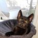 Donna Hershey - Facebook